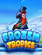 รีวิวเกมสล็อต joker 998 ที่คุณไม่ควรพลาด